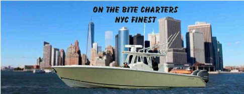NYC fishing Charters On The Bite  fishing charters NYC