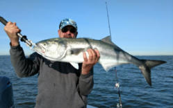 Fishing NYC Bluefish